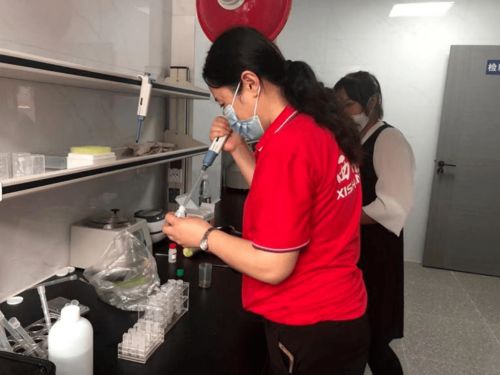 提升快检技能，筑牢食品安全与公共安全双重防线