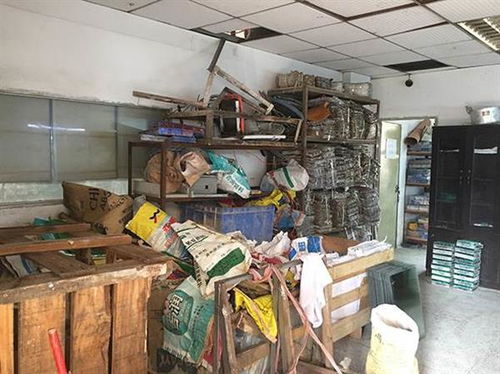 惠州市厂房验厂安全检测鉴定报告办理指南及相关资讯